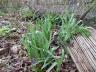 Filename: P1020133.JPG
Size: 332.4 KB
24-02-2025, 02:41 PM